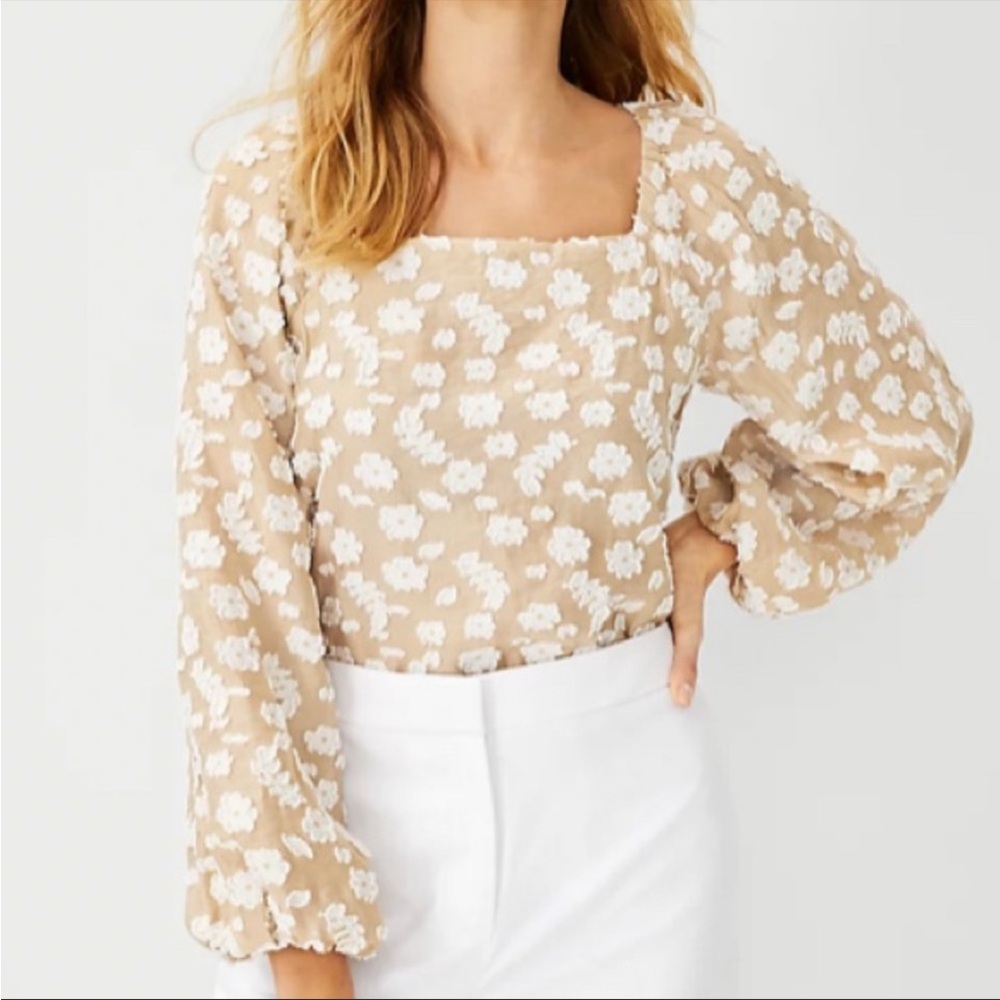 Ann Taylor Beige Floral Blouse